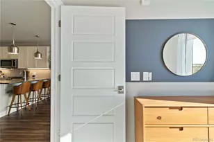 20 Wilcox Street, Castle Rock, CO 80104 - Photo 14