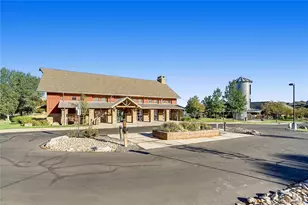 2909 Dreamcatcher Loop, Castle Rock, CO 80109 - Photo 44