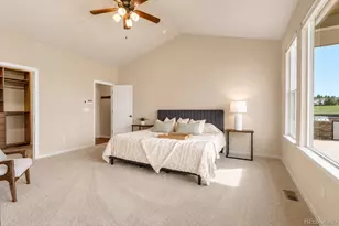 2909 Dreamcatcher Loop, Castle Rock, CO 80109 - Photo 18