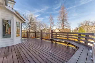 9648 Bellmore Pl, Highlands Ranch, CO 80126 - Photo 38