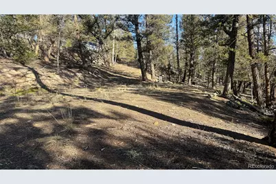 3132 Middle Fork Vista, Fairplay, CO 80440 - Photo 10