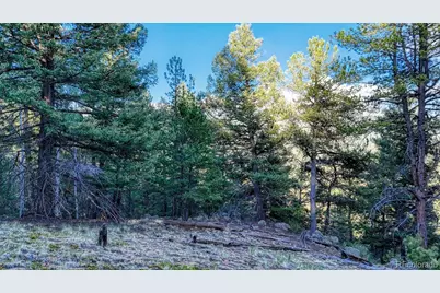 364 Blue Spruce Road, Divide, CO 80814 - Photo 1