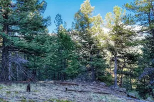 364 Blue Spruce Rd, Divide, CO 80814 - Photo 1