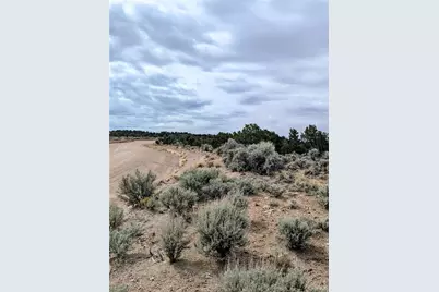 Lot 3589 Freylinghuysen Road, Fort Garland, CO 81133 - Photo 4