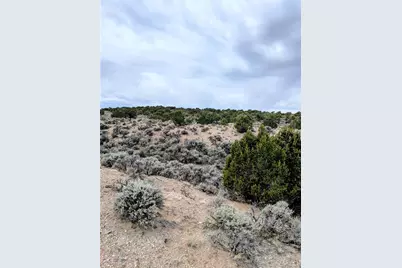 Lot 3589 Freylinghuysen Road, Fort Garland, CO 81133 - Photo 8