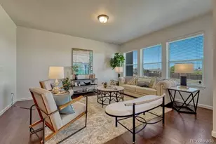 11940 Barrentine Loop, Parker, CO 80138 - Photo 10