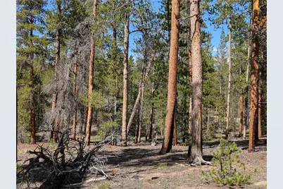 495 Birch Drive, Twin Lakes, CO 81251 - Photo 16