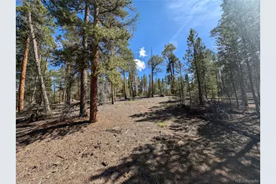 495 Birch Drive, Twin Lakes, CO 81251 - Photo 10