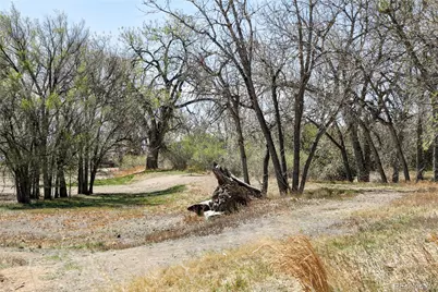 9106 Clermont Drive, Thornton, CO 80229 - Photo 32