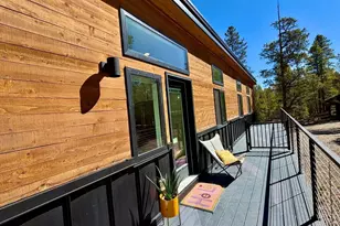 341 Cedar Dr, Leadville, CO 80461 - Photo 4