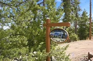 6928 Weasel Way, Evergreen, CO 80439 - Photo 4