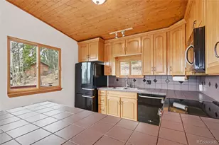 6928 Weasel Way, Evergreen, CO 80439 - Photo 14