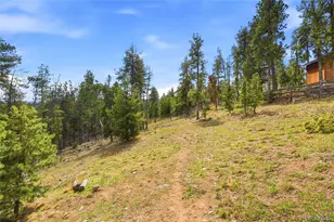 6928 Weasel Way, Evergreen, CO 80439 - Photo 48