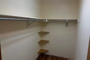 4372 E Andover Ave, Castle Rock, CO 80104 - Photo 10