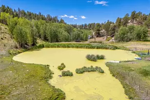 242 Poplar Ln, Guffey, CO 80820 - Photo 50