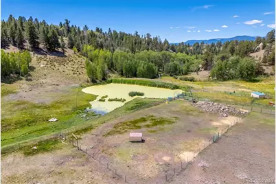 242 Poplar Lane, Guffey, CO 80820 - Photo 20