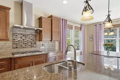 3177 Starry Night Loop, Castle Rock, CO 80109 - Photo 10
