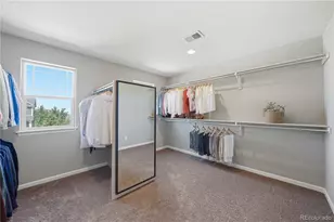 3177 Starry Night Loop, Castle Rock, CO 80109 - Photo 28