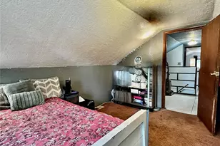 413 W 3rd St, Leadville, CO 80461 - Photo 20