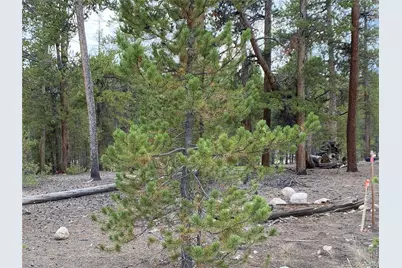 340 Peak View Drive, Twin Lakes, CO 80461 - Photo 8