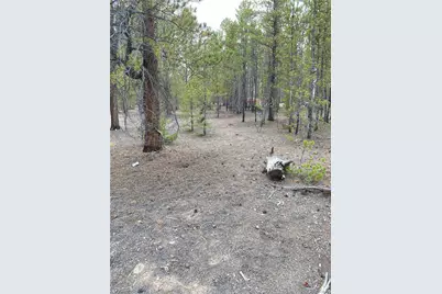 340 Peak View Drive, Leadville, CO 80461 - Photo 1