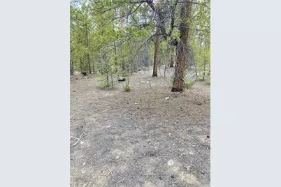 340 Peak View Drive, Leadville, CO 80461 - Photo 2