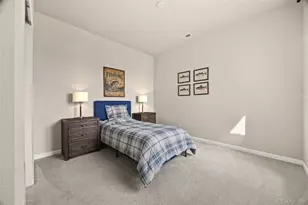 8028 Williams Fork Ave, Littleton, CO 80125 - Photo 30