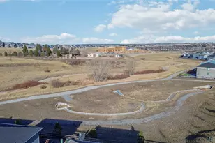 13485 Tree Sparrow Ln, Parker, CO 80134 - Photo 44