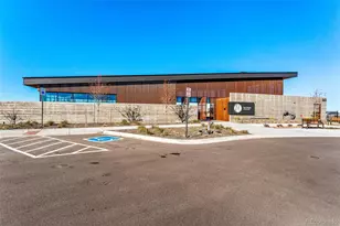 4201 Skipping Pt, Castle Rock, CO 80108 - Photo 36