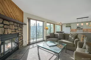 9825 Ryan Gulch Rd, Silverthorne, CO 80498 - Photo 4