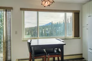 9825 Ryan Gulch Rd, Silverthorne, CO 80498 - Photo 8