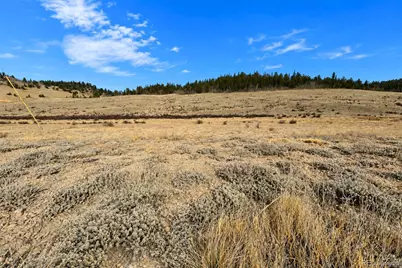 2384 Arrowhead Drive, Como, CO 80456 - Photo 8