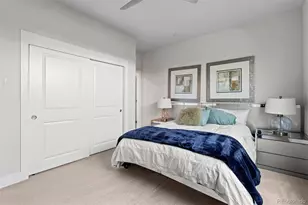 10345 Spring Green Drive, Englewood, CO 80112 - Photo 34