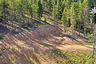 6824 Lynx Lair Rd, Evergreen, CO 80439 - Photo 1