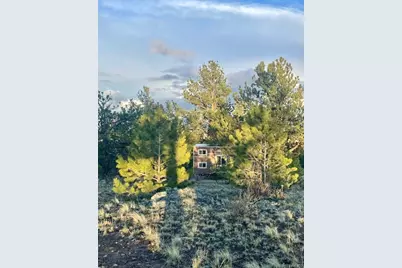 183 Muir Woods Trail, Hartsel, CO 80449 - Photo 4