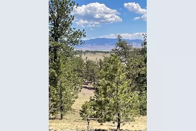 183 Muir Woods Trail, Hartsel, CO 80449 - Photo 6