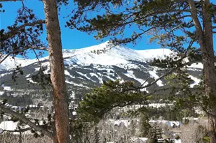 102 S High St, Breckenridge, CO 80424 - Photo 46