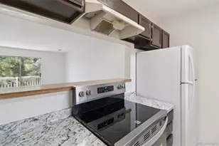 1251 S Gilbert St, Castle Rock, CO 80104 - Photo 8