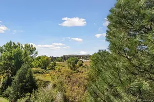 1251 S Gilbert St, Castle Rock, CO 80104 - Photo 26