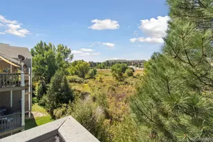 1251 S Gilbert St, Castle Rock, CO 80104 - Photo 4