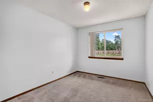 28384 Tresine Dr, Evergreen, CO 80439 - Photo 30