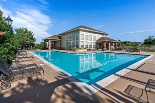 431 Black Feather Loop, Castle Rock, CO 80104 - Photo 30