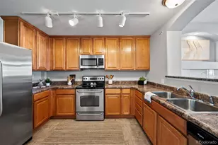 431 Black Feather Loop, Castle Rock, CO 80104 - Photo 12