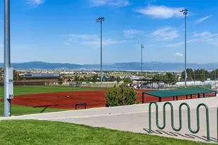 431 Black Feather Loop, Castle Rock, CO 80104 - Photo 36