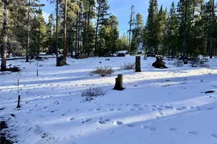 198 Juniper Dr, Twin Lakes, CO 81251 - Photo 1