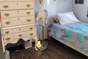 9755 Elderberry St, Denver, CO 80260 - Photo 36