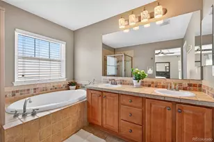10648 Ashfield St, Highlands Ranch, CO 80126 - Photo 28