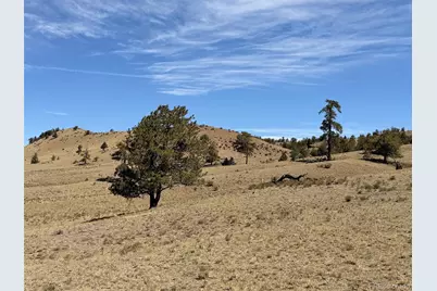 Hardwood Loop, Hartsel, CO 80449 - Photo 38
