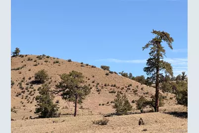 Hardwood Loop, Hartsel, CO 80449 - Photo 30