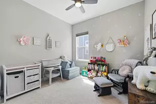 3258 Carabiner St, Castle Rock, CO 80108 - Photo 34